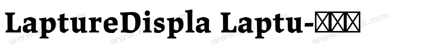 LaptureDispla Laptu字体转换